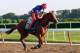 Will anyone stop California Chrome's run to history?
