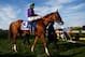 BALTIMORE, MD - MAY 17: Victor Espinoza rides atop California Chrome #3 during the post parade for the 139th running of the Preakness Stakes at Pimlico Race Course on May 17, 2014 in Baltimore, Maryland. (Photo by Patrick Smith/Getty Images)