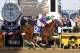 California Chrome, ridden by jockey Victor Espinoza, wins the 139th Preakness Stakes horse race at Pimlico Race Course, Saturday, May 17, 2014, in Baltimore. (AP Photo/Mike Stewart)