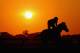 ELMONT, NY - JUNE 03: A general view of a horse and exercise rider training at sunrise on the main track for training at Belmont Park on June 3, 2014 in Elmont, New York. (Photo by Al Bello/Getty Images)
