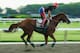 ELMONT, NY - MAY 27: Kentucky Derby and Preakness winner California Chrome, with exercise rider Willie Delgado up, trains on the main track at Belmont Park on May 27, 2014 in Elmont, New York. He is scheduled to race for the Triple Crown in the 146th running of the Belmont Stakes (Photo by Al Bello/Getty Images)