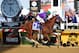 BALTIMORE, MD - MAY 17: California Chrome #3, ridden by Victor Espinoza, races past the finishline to win during the 139th running of the Preakness Stakes at Pimlico Race Course on May 17, 2014 in Baltimore, Maryland. (Photo by Jim Dietz/Getty Images)