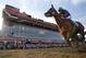 California Chrome, ridden by jockey Victor Espinoza, wins the 139th Preakness Stakes horse race at Pimlico Race Course, Saturday, May 17, 2014, in Baltimore. (AP Photo/Matt Slocum)