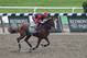 Exercise rider Willie Delgado gallops California Chrome around the track at Belmont Park, Wednesday, June 4, 2014, in Elmont, N.Y. The Kentucky Derby and Preakness Stakes winner will attempt to become the first Triple Crown winner since Affirmed in 1978 when he races in the 146th running of the Belmont Stakes on Saturday.(AP Photo/Peter Morgan)