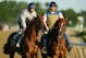 ELMONT, NY - MAY 31: Kentucky Derby and Preakness winner California Chrome (left) with Jockey Victor Espinoza up trains next to Outrider Miguel Gutierrez at Belmont Park on May 31, 2014 in Elmont, New York. He is scheduled to race for the Triple Crown in the 146th running of the Belmont Stakes (Photo by Al Bello/Getty Images)