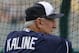 Detroit Tigers baseball Hall of Famer Al Kaline leans on the batting cage before an exhibition spring training baseball game between the Detroit Tigers and the Pittsburgh Pirates in Lakeland, Fla., Tuesday, March 4, 2014. (AP Photo/Gene J. Puskar)