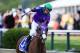BALTIMORE, MD - MAY 17: Victor Espinoza celebrates atop California Chrome #3 after winning the 139th running of the Preakness Stakes at Pimlico Race Course on May 17, 2014 in Baltimore, Maryland. (Photo by Rob Carr/Getty Images)