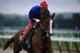 California Chrome will be tough to beat as he pursues the Triple Crown at the 2014 Belmont Stakes.