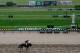 ELMONT, NY - JUNE 05: A horse and rider train on the track at Belmont Park on June 5, 2014 in Elmont, New York. The 146th running of the Belmont Stakes will be held Saturday. (Photo by Rob Carr/Getty Images)