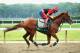California Chrome is chasing history and entering Belmont Park as the clear favorite.