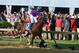 May 17, 2014; Baltimore, MD, USA; Victor Espinoza aboard California Chrome celebrates winning the 139th Preakness Stakes at Pimlico Race Course. Mandatory Credit: Tommy Gilligan-USA TODAY Sports