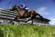 EPSOM, ENGLAND - JUNE 06: Paul Hanagan riding Taghrooda win The Investec Oaks at Epsom racecourse on June 06, 2014 in Epsom, England. (Photo by Alan Crowhurst/Getty Images)