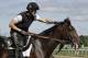Exercise rider Chris Davis strokes Belmont Stakes entrant Medal Count's mane before a workout at Belmont Park, Friday, June 6, 2014, in Elmont, N.Y. Medal Count will be one of ten challengers looking to spoil California Chrome's bid at a Triple Crown when they race in the 146th running of the Belmont Stakes horse race on Saturday. (AP Photo/Garry Jones)