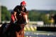 ELMONT, NY - JUNE 06: Kentucky Derby and Preakness winner California Chrome, with exercise rider Willie Delgado up, goes over the track in preparation for the 146th running of the Belmont Stakes at Belmont Park on June 6, 2014 in Elmont, New York. (Photo by Rob Carr/Getty Images)