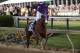 May 17, 2014; Baltimore, MD, USA; Victor Espinoza aboard California Chrome celebrates winning the 139th Preakness Stakesat Pimlico Race Course. Mandatory Credit: Winslow Townson-USA TODAY Sports