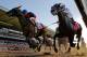Tonalist, left, with Joel Rosario up edges out Commissioner with Javier Castellano up to win the 146th running of the Belmont Stakes horse race, Saturday, June 7, 2014, in Elmont, N.Y. (AP Photo/Matt Slocum)