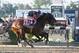 ELMONT, NY - JUNE 07: Tonalist #11, ridden by Joel Rosario, races to the finish line enroute to winning the 146th running of the Belmont Stakes at Belmont Park on June 7, 2014 in Elmont, New York. (Photo by Travis Lindquist/Getty Images)