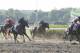 Tonalist, second from right, with Joel Rosario up, goes nose to nose with Commissioner, right, with Javier Castellano up, as California Chrome, second from left, with Victor Espinoza up, lags behind during the 146th running of the Belmont Stakes horse race, Saturday, June 7, 2014, in Elmont, N.Y. Tonalist won the race with Commisioner coming in second. (AP Photo/Peter Morgan)