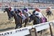 Tonalist (11) with Joel Rosario up edges out Commissioner (8) with Javier Castellano up to win the 146th running of the Belmont Stakes horse race, Saturday, June 7, 2014, in Elmont, N.Y. (AP Photo/Matt Slocum)