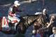 Jockey Joel Rosario celebrates atop Tonalist after winning the Belmont Stakes horse race, Saturday, June 7, 2014, in Elmont, N.Y. (AP Photo/Bill Kostroun)