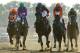 Tonalist, center, with Joel Rosario up, approaches the finish line to win the Belmont Stakes horse race, Saturday, June 7, 2014, in Elmont, N.Y. Other horses are, from left, General a Rod (10), California Chrome (2), Medal Count (1), and Samraat. (AP Photo/Matt Slocum)