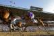 California Chrome with Victor Espinoza up finishes fourth in the Belmont Stakes horse race, Saturday, June 7, 2014, in Elmont, N.Y. (AP Photo/Matt Slocum)