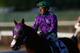 ELMONT, NY - JUNE 07: California Chrome #2, ridden by Victor Espinoza, walks down the track after losing the 146th running of the Belmont Stakes at Belmont Park on June 7, 2014 in Elmont, New York. (Photo by Streeter Lecka/Getty Images)