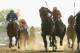 ELMONT, NY - JUNE 07: Tonalist #11, ridden by Joel Rosario, races to the finish line enroute to winning the 146th running of the Belmont Stakes at Belmont Park on June 7, 2014 in Elmont, New York. (Photo by Rob Carr/Getty Images)