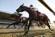 Tonalist (11), with Joel Rosario up, crosses the finish line ahead of Commissioner (8), with Javier Castellano up, to win the Belmont Stakes horse race, Saturday, June 7, 2014, in Elmont, N.Y. (AP Photo/Matt Slocum)