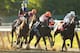 ELMONT, NY - JUNE 07: Tonalist #11 (L), ridden by Joel Rosario, rounds the final turn on his way to winning the 146th running of the Belmont Stakes at Belmont Park on June 7, 2014 in Elmont, New York. (Photo by Mike Ehrmann/Getty Images)