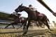 Tonalist (11), with Joel Rosario up, crosses the finish line ahead of Commissioner (8), with Javier Castellano up, to win the Belmont Stakes horse race, Saturday, June 7, 2014, in Elmont, N.Y. (AP Photo/Matt Slocum)