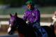 ELMONT, NY - JUNE 07: California Chrome #2, ridden by Victor Espinoza, walks down the track after losing the 146th running of the Belmont Stakes at Belmont Park on June 7, 2014 in Elmont, New York. (Photo by Streeter Lecka/Getty Images)