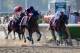 ELMONT, NY - JUNE 07: Tonalist #11 (C), ridden by Joel Rosario, races to the finish line enroute to winning the 146th running of the Belmont Stakes at Belmont Park on June 7, 2014 in Elmont, New York. (Photo by Rob Carr/Getty Images)