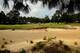 PINEHURST, NC - JUNE 09: Bubba Watson of the United States, Aaron Baddeley of Australia and David Gossett of the United States walk across the 14th green during a practice round prior to the start of the 114th U.S. Open at Pinehurst Resort & Country Club, Course No. 2 on June 9, 2014 in Pinehurst, North Carolina. (Photo by Streeter Lecka/Getty Images)