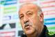 SEVILLE, SPAIN - MAY 29: Head coach Vicente Del Bosque of Spain faces the media during a press conference ahead of their international friendly match against Bolivia at the Ramon Sanchez Pizjuan stadium on May 29, 2014 in Seville, Spain. (Photo by David Ramos/Getty Images)