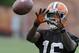 Andrew Hawkins has shined in the Browns OTAs. His star should only get brighter once the season gets here.