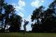PINEHURST, NC - JUNE 11: Rory McIlroy of Northern Ireland hits a tee shot during a practice round prior to the start of the 114th U.S. Open at Pinehurst Resort & Country Club, Course No. 2 on June 11, 2014 in Pinehurst, North Carolina. (Photo by Andrew Redington/Getty Images)