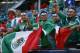 Mexico fans wave their national flag before Mexico's international friendly soccer match against Bosnia-Herzegovina at Soldier Field in Chicago, Tuesday, June 3, 2014. (AP Photo/Kamil Krzaczynski)