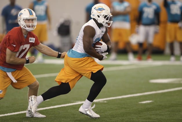 Leadership Will Not Be an Issue for the 2014 Miami Dolphins