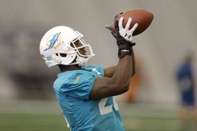Questions Linger for Dolphins Entering Minicamp