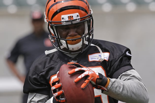 Newman Embraces Role as Bengals Sage