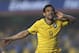 Brazil's Fred celebrates after scoring against Serbia during a friendly soccer match at Morumbi stadium in Sao Paulo, Brazil, Friday, June 6, 2014. Brazil is hosting the World Cup soccer tournament that starts June 12. (AP Photo/Andre Penner)