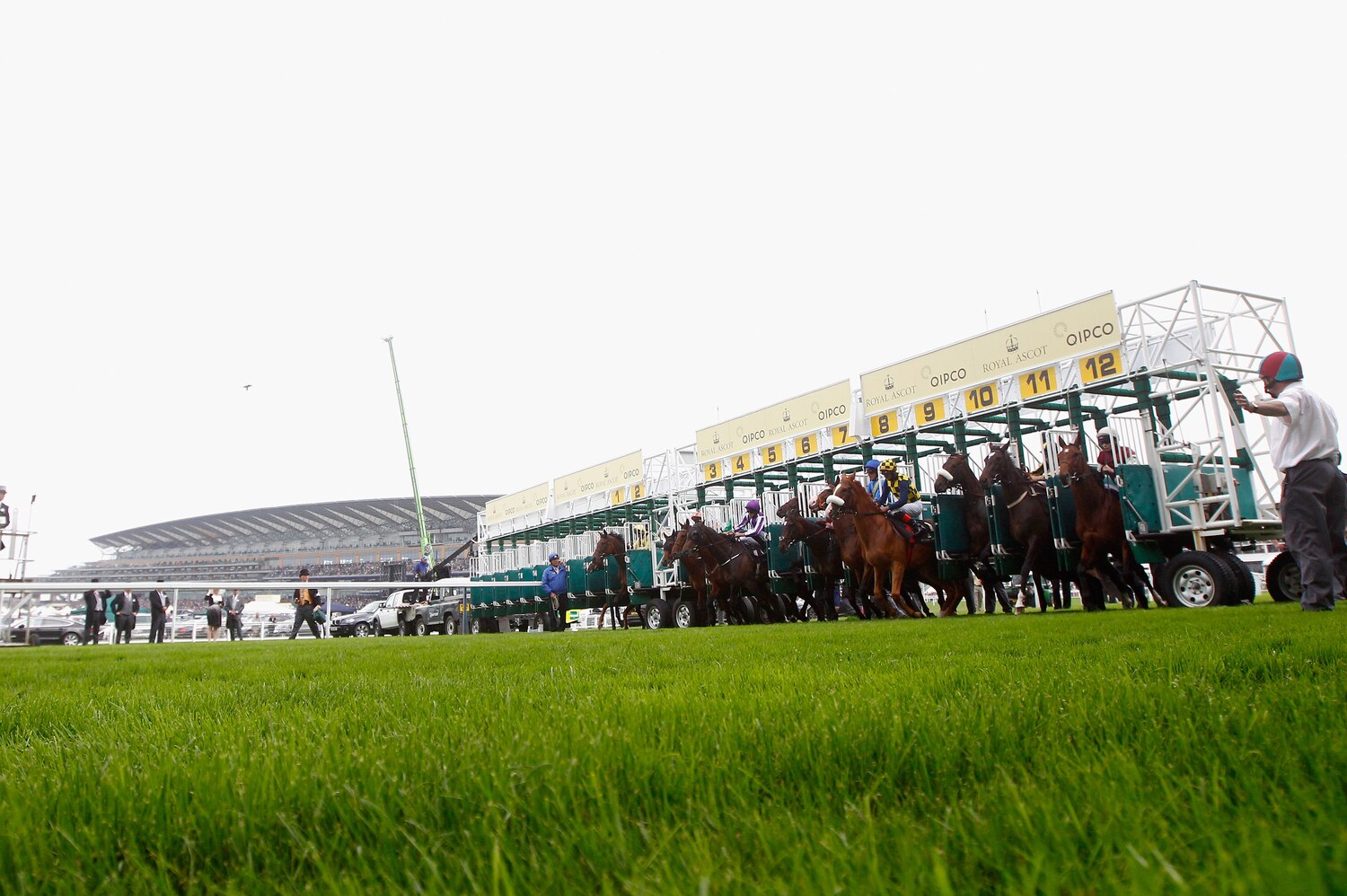 Ascot Gold Cup 2014 Results Winner, Top Finishers and Analysis