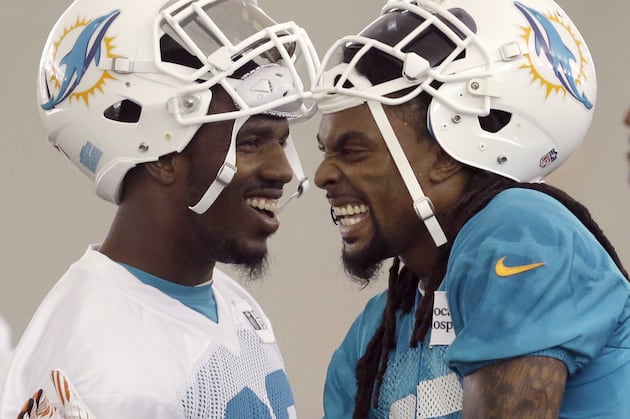 Dolphins See Safety Louis Delmas as Potential Free-Agent Steal