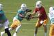Miami Dolphins quarterback Ryan Tannehill, right, hands off to running back Lamar Miller during a scrimmage on the final day of NFL football minicamp, Thursday, June 19, 2014, at the team's training Facility in Davie, Fla. (AP Photo/Wilfredo Lee)