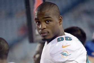 Dolphins Can't Seem to Escape Bad Publicity