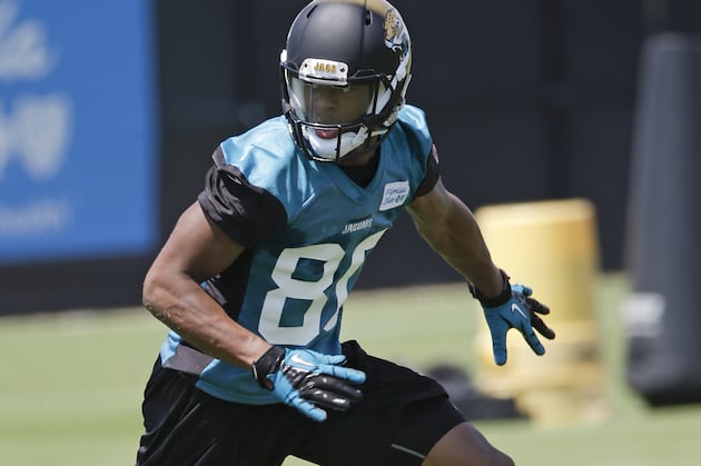 20 in 20: What Should Jaguars Expect from Marqise Lee and Allen Robinson?