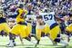Michigan's Team 135 needs a pick-me-up in 2014.