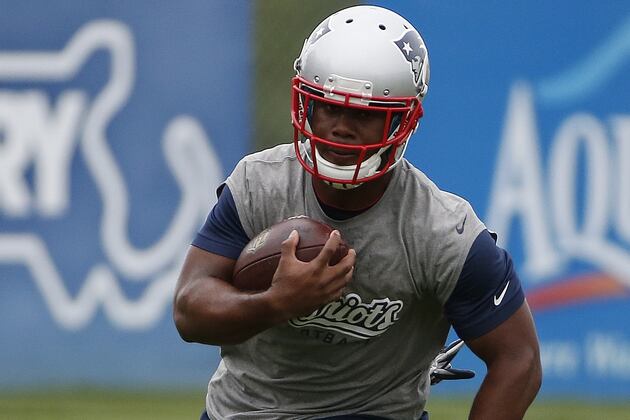 James White a Threat for Major Touches in Patriots 2014 Training Camp Battle