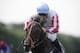 NEWMARKET, ENGLAND - JULY 12: Wayne Lordan riding Slade Power win The Darley July Cup at Newmarket racecourse on July 12, 2014 in Newmarket, England. (Photo by Alan Crowhurst/Getty Images)